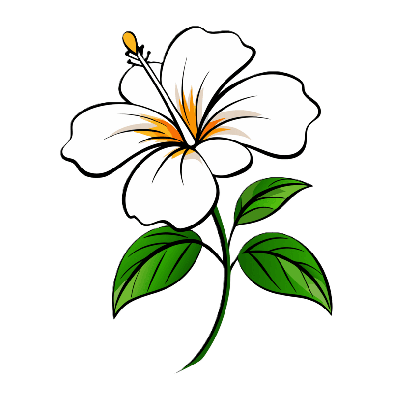 Hibiscus tea